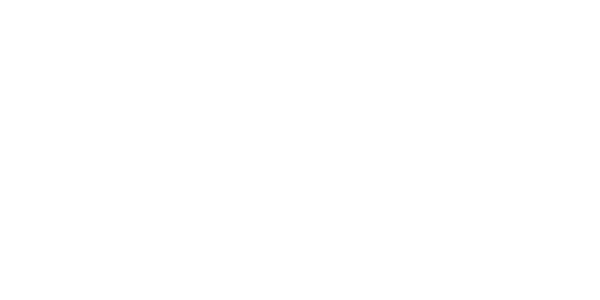 에볼루션 게이밍 logo
